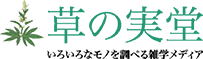 草の実堂